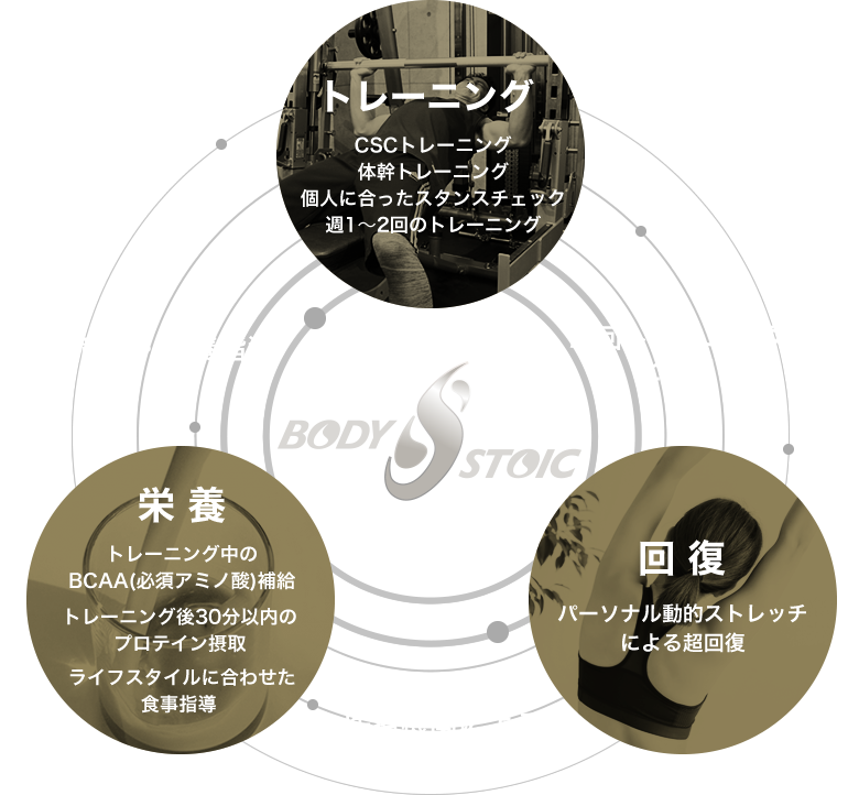 正しいトレーニング図説